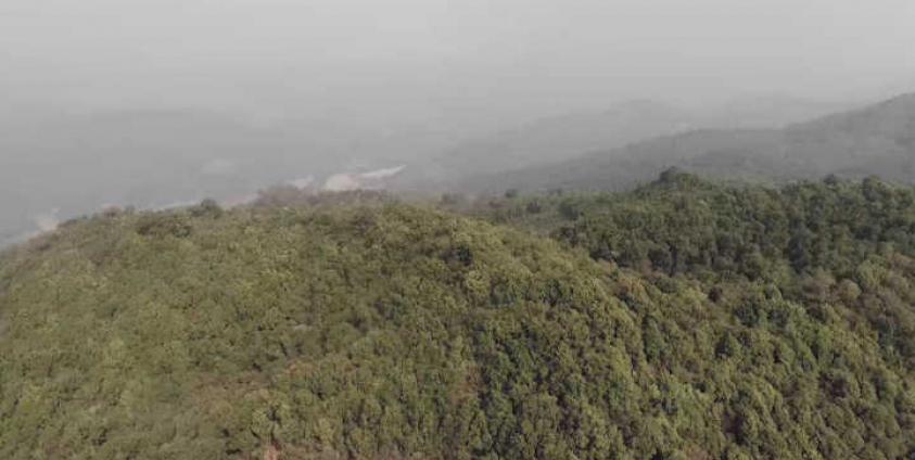 Thick Forest in the Salween Peace Park, Northern Karen State (Photo-Saw Mort) 