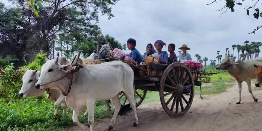 စစ်ကိုင်းတိုင်းရှိ စစ်ဘေးရှောင် အမျိုးသမီးအချို့အား ဇန်နဝါရီလအတွင်းက တွေ့ရစဥ်