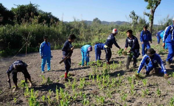 ပုံဟောင်းအသုံးပြုထားပါသည်။ မြစ်ကြီးနားသတင်းဂျာနယ်