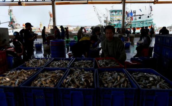 Myanmar migrant fishermen unload fish from Thai fishing boats at a port in Samut Sakhon province, Thailand. Photo: EPA