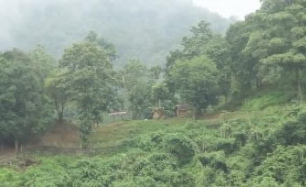 A Burma Army Camp in Papun District, Karen State