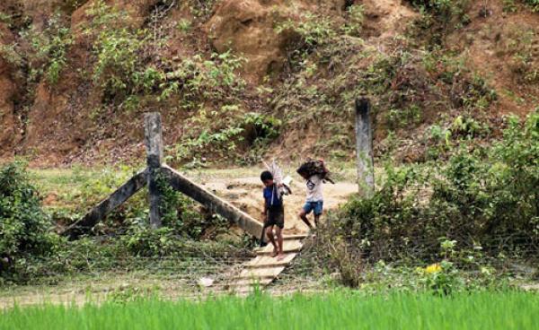 Rohingya refugee cross Burma-Bangladesh border fence for their firewoods