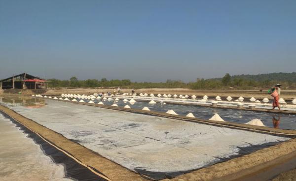 A salt farm in Kyaukphyu Township, Arakan State. (Photo: Tun Kyawl)