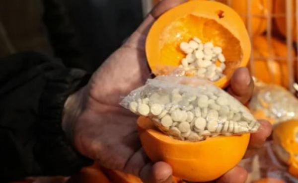 A man shows fake oranges filled with illegal drug pills. Photo: AFP