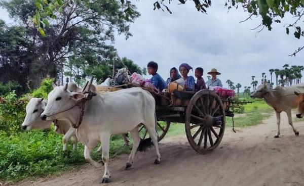 စစ်ကိုင်းတိုင်းရှိ စစ်ဘေးရှောင် အမျိုးသမီးအချို့အား ဇန်နဝါရီလအတွင်းက တွေ့ရစဥ်